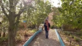 ژینگل آموزش آنلاین زبان انگلیسی ملیکا نیک اختر