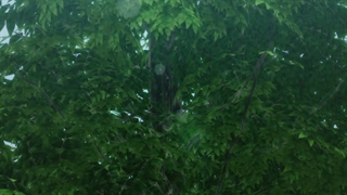 انیمهKumo Desu Ga Nani Kaقسمت15با زیرنویس فارسی