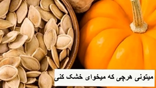 دستگاه خشک کن میوه و سبزی
