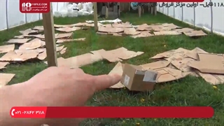 آموزش احداث گلخانه مناسب برای پرورش گل های زینتی