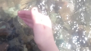 کیوت/ یکتا جون