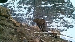 البرز مرکزی