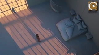 چشم، پیچیده ترین عضو بدن انسان