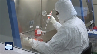 نبرد با ایدز و سرطان، با استفاده از تجربه کرونا