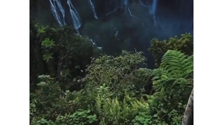 سفر به یکی از سرسبزترین جزیره های اقیانوس آرام، بالی | پرین پرواز