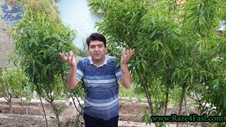 آیا می خواهی از در و دیوار برای تو خیر و برکت جاری شود؟