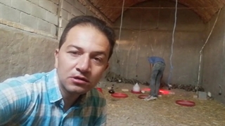 بازدید از مزارع پرورش قرقاول