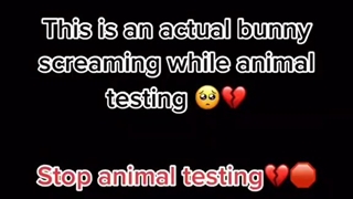 صدای یک خرگوش موقع آزمایش