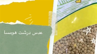 معرفی حبوبات بسته بندی شده