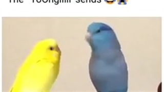 کیم سوک جین-bts