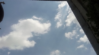 فیلمبردار-حسام الدین شفیعیان