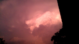 فیلمبردار-حسام الدین شفیعیان