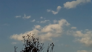 فیلمبردار-حسام الدین شفیعیان