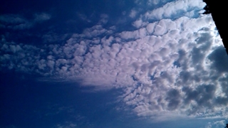 فیلمبردار-حسام الدین شفیعیان