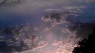 فیلمبردار-حسام الدین شفیعیان