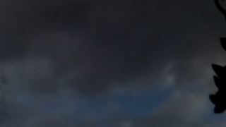 فیلمبردار-حسام الدین شفیعیان