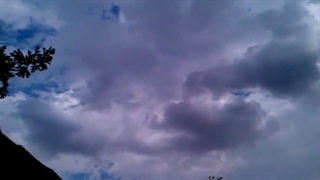 فیلمبردار-حسام الدین شفیعیان