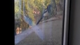 فیلمبردار-حسام الدین شفیعیان