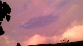 فیلمبردار-حسام الدین شفیعیان