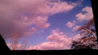 فیلمبردار-حسام الدین شفیعیان