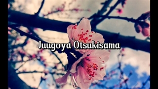 Hana Kage (Cherry Blossoms) - Hako Yamasaki with Lyric