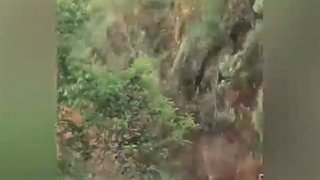 لحظه وحشتناک رانش زمین