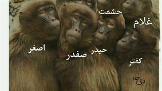 معرفی میکنم کپ...