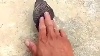 اوخی ماره چه خوشگله ^~^