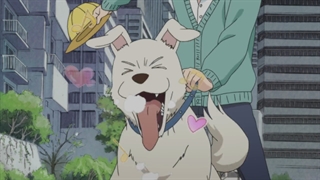 قسمت 5 انیمه (gatsu no Lion)