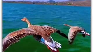 زندگی در دو جمله خلاصه میشود: لذت بردن از روزهای خوب صبر کردن در روزهای بد | دکتر سعید قریشی