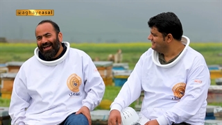 استاد، حرفه ای، دوست داشتنی!