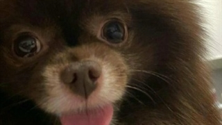 آپدیت استوری اینستاگرام جنی