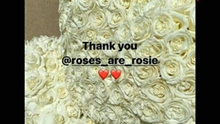 آپدیت استوری اینستاگرام رزی