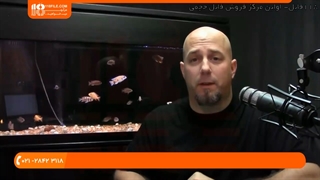 چند روش موثر برای سازگار کردن ماهی ها با فضای آکواریوم