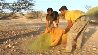 بخشی از مستند شهید سردار محمد ناظری در جزیره فارو