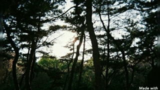 آپدیت اینستاگرام لیسا