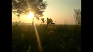 بررسی نقش انیمه در تبلیغ همجنسبازی