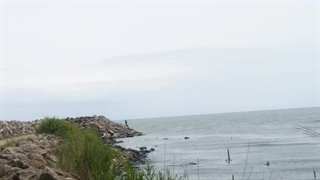 همین الان یهویی ساحل چَمخاله...