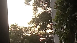 فیلمبردار-حسام الدین شفیعیان