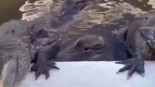 پسرا وقتی دختر می بیننXD