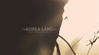 ⟨⇍⋆ＢＴＳ⋆⇏⟩