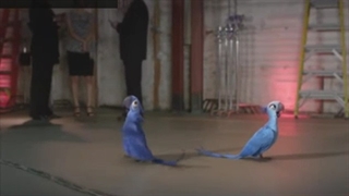 کلیپ ریو جدید