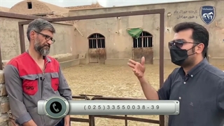 وزن گیری مناسب دام (قسمت دوم)