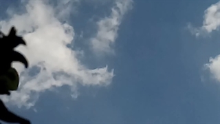 فیلمبردار-حسام الدین شفیعیان