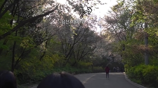 ولاگ جیسو و لیسا اعضای بلک پینک در چنل یوتیوب lilifilm با کیفیت عالی