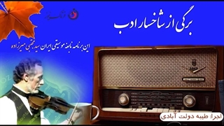 نگاهی به زندگی هنری سید مجتبی میرزاده نابغه موسیقی ایران