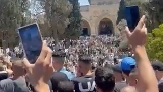 تصاویری از حال و هوای امروز مسجدالاقصی