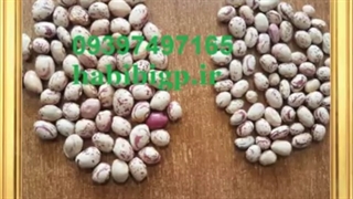 خرید لوبیا قرمز به صورت عمده