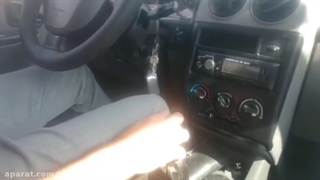 پیک حمل و نقل گربه