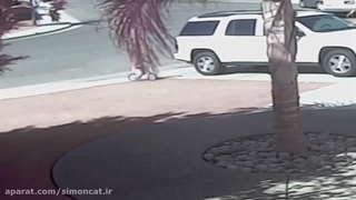 گربه شجاع و نجات کودک